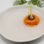 日常No.7 栽培にんじんの小物入れ