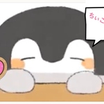 ぶた帽子をかぶってるブタちゃん♡