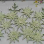 🌼押し花素材。フランネルフラワー