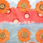 evesara様専用
