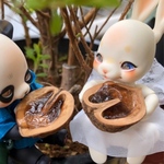 くるみ入りハチミツおべんとう🍯