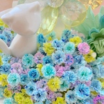 かすみ草ドライフラワー