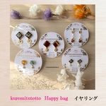Happy bag 2020✨イヤリング