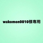wakomon0810さま専用　羊毛フェルトバスケット