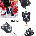 フレンチブルドッグ