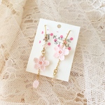 さくら❇︎A