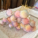 マルガリータアレンジ加工❣️虹色パステルグラデーションオーロラ❣️ハーバリウムレジンアクセサリーハンドメイド花材プリザーブドフラワー