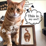 焔　吏狐。様　専用