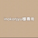 inokonjyu様専用ページ ポーチ トウシューズ柄