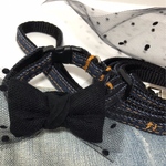 犬用首輪 リードセット