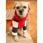 ※再販 犬服 クシュクシュ タートル 赤× 極太 紺ボーダー の長袖　