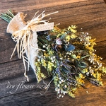 dry flower◇アストランティアの春スワッグC