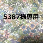 5387様専用