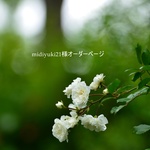 midiyuki21様オーダーページ