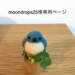 moondrops25様の専用ページ