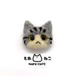 大福猫:アメショ　01