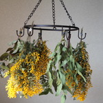 ミモザとユーカリのハンギング