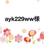 ayk229ww様