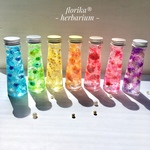New♡パステル虹色7色ミニハーバリウム『季節の花シリーズ』♡12cm