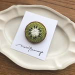 キウイのブローチ🥝