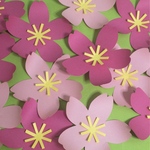 壁面飾り（春）（桜）