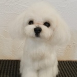 白い犬　羊毛フェルト　犬