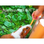 【hoshisizuka様専用です】