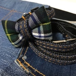 犬用首輪&リードセット