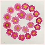 flower flower様専用
