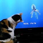 mさまご依頼//K14GF*宝石質アメジストネックレスへのお仕立て直し