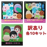 ⚠️訳あり⚠️各10キット
