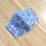 大人用布マスク 立体 フラワーブルー