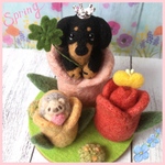 親指姫　ダックス☆クリーム☆羊毛フェルト　チューリップ
