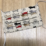 大人用プリーツマスク