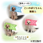 4/3(土)追加  🎏こいのぼりちゃん隊員【受注製作】   ［4月中旬頃の発送予定となります］