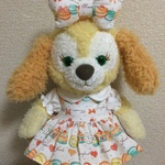 sサイズクッキーアンコスチューム