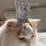 猫様ゴージャス冠パール／シルバー⭐︎選べるあご紐付きかぶりもの⭐︎猫様用かぶりもの
