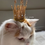 猫様ゴージャス冠ダイヤ／ゴールド⭐︎選べるあご紐付きかぶりもの⭐︎猫様用かぶりもの
