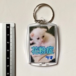 花粉症キーホルダーⅡ  ティース