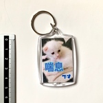 喘息キーホルダーⅡ  ティース
