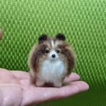 シェルティ セーブル 羊毛フェルト