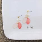 送料無料◎さくら貝ピアス