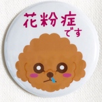 花粉症・ぜんそくですプードル  缶バッジ38mm