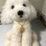 おとママの羊毛フェルト　ホワイトトイプードル