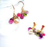 木の実ピアス＊イヤリング