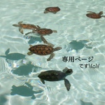 𓆉 専用ページ 𓆉 