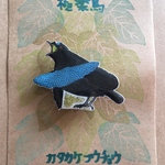 1点物‼️極楽鳥ブローチ【カタカケフウチョウ】
