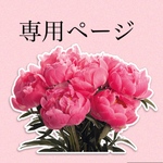 Kさま専用ページ★便利★ 洗濯ネットにもなるマスクケース★そのまま洗濯機へ★マスク、インナーマスク専用　型崩れしない　洗濯ネット　クッション素材　ふっくら素材　洗い替えマスク用　使い捨てマスク