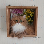 羊毛フェルト 猫 チンチラゴールデンのフラワーフレームボックス