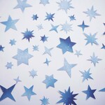 星のかけら フレークシール